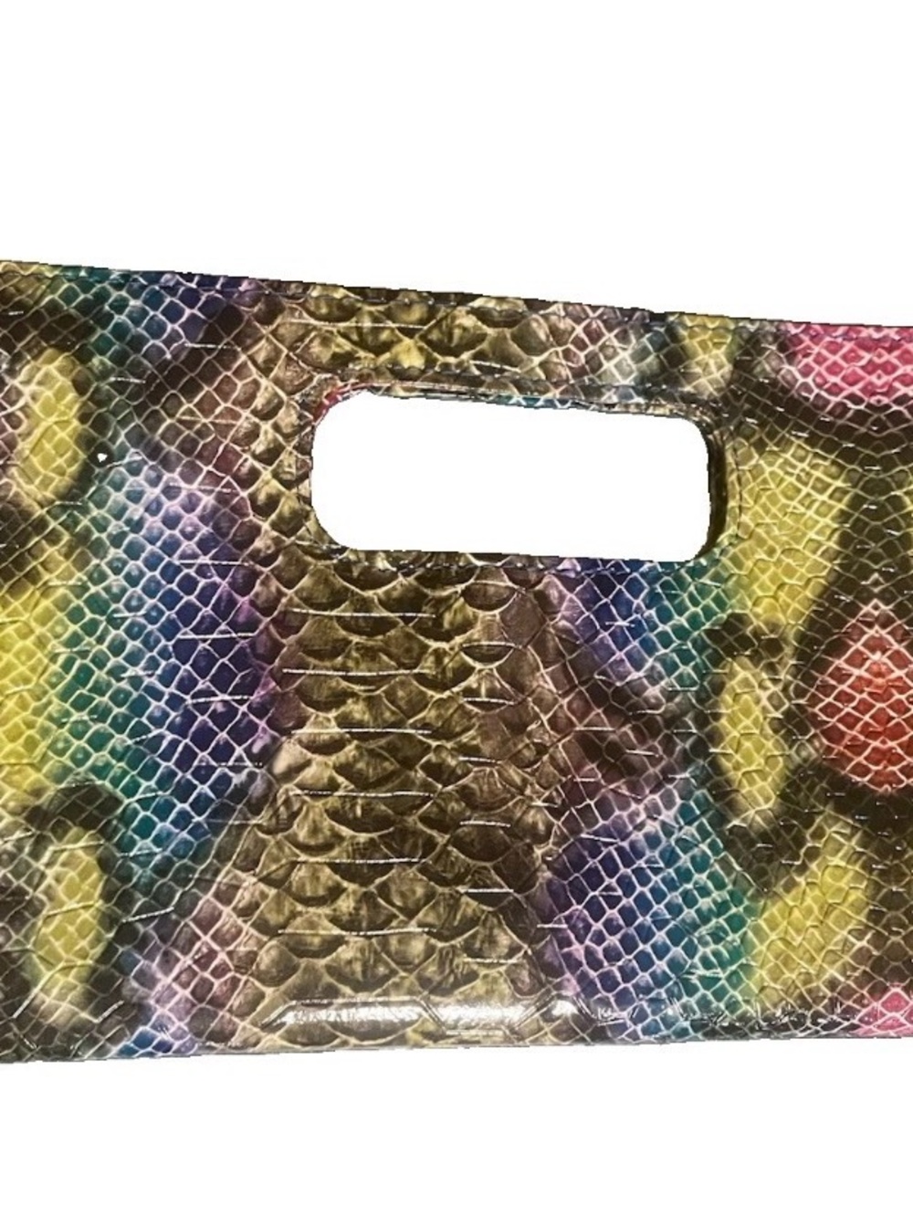 Multicolor Snake-Print Clutch Wristlet